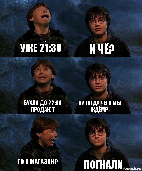 Уже 21:30 И чё? Бухло до 22:00 продают Ну тогда чего мы ждём? Го в магазин? Погнали, Комикс гарри и рон в пещере пауков