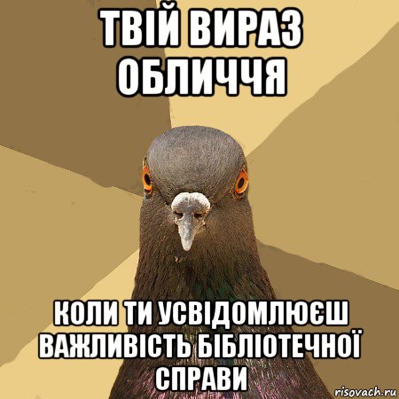 твій вираз обличчя коли ти усвідомлюєш важливість бібліотечної справи, Мем голубь