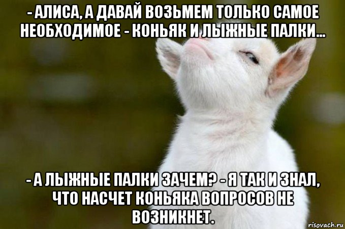 - алиса, а давай возьмем только самое необходимое - коньяк и лыжные палки... - а лыжные палки зачем? - я так и знал, что насчет коньяка вопросов не возникнет., Мем  Гордый козленок