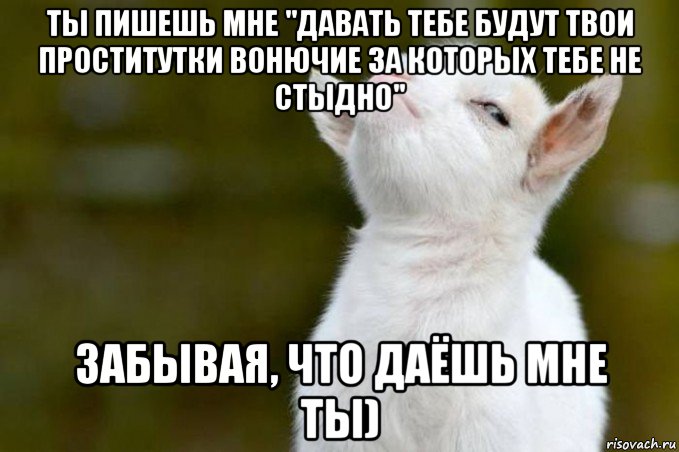 ты пишешь мне "давать тебе будут твои проститутки вонючие за которых тебе не стыдно" забывая, что даёшь мне ты), Мем  Гордый козленок