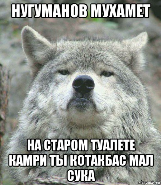 нугуманов мухамет на старом туалете камри ты котакбас мал сука, Мем    Гордый волк