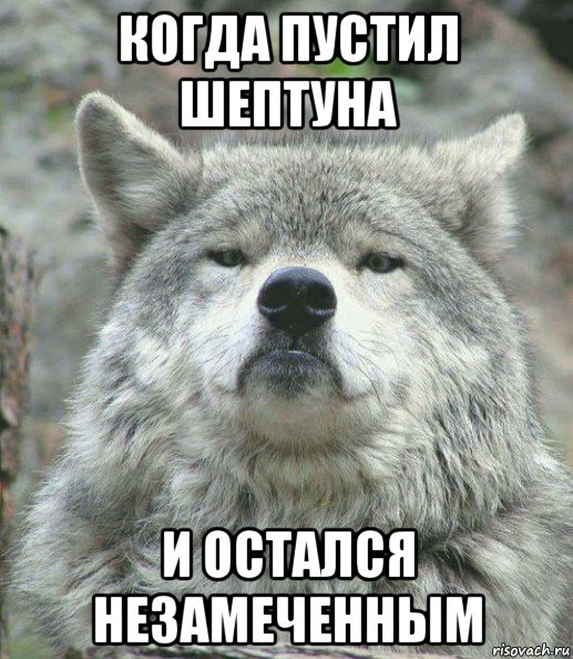 когда пустил шептуна и остался незамеченным, Мем    Гордый волк