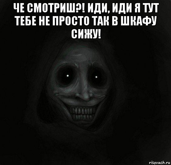 че смотриш?! иди, иди я тут тебе не просто так в шкафу сижу! , Мем Ночной гость