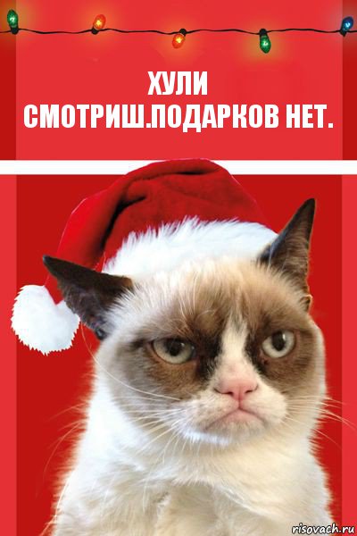 хули смотриш.Подарков нет., Комикс  Grumpy cat new year