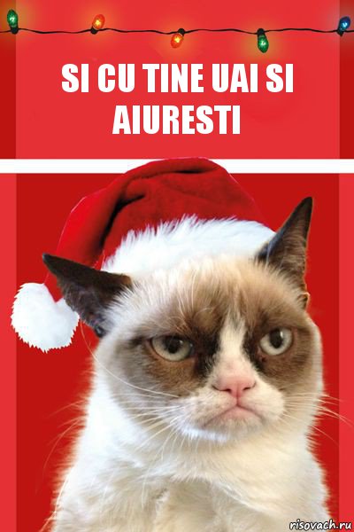 si cu tine uai si aiuresti, Комикс  Grumpy cat new year