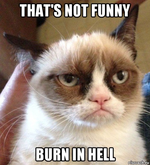 that's not funny burn in hell, Мем Грустный (сварливый) кот