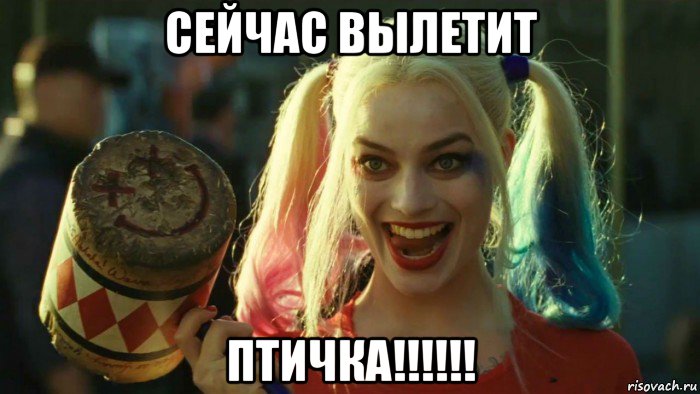 сейчас вылетит птичка!!!!!!, Мем    Harley quinn