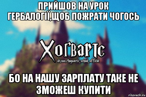 прийшов на урок гербалогії,щоб пожрати чогось бо на нашу зарплату таке не зможеш купити, Мем Хогвартс