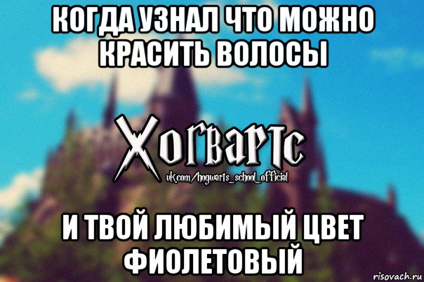 когда узнал что можно красить волосы и твой любимый цвет фиолетовый, Мем Хогвартс