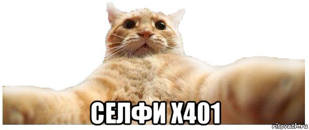  селфи x401, Мем   Кэтсвилл