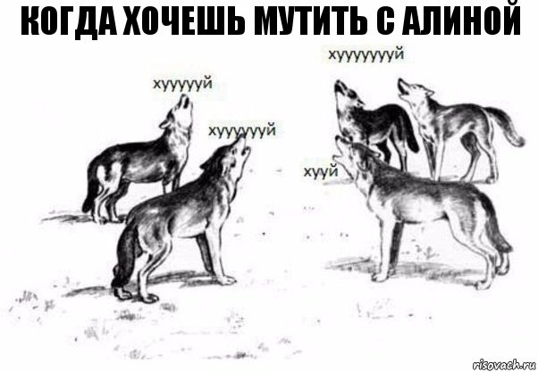 Когда хочешь мутить с Алиной