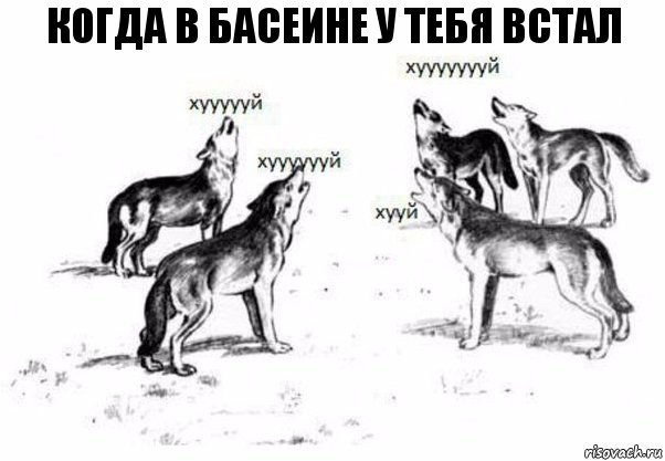 когда в басеине у тебя встал, Комикс Когда хочешь