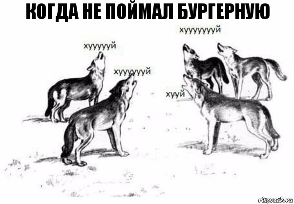 Когда не поймал бургерную