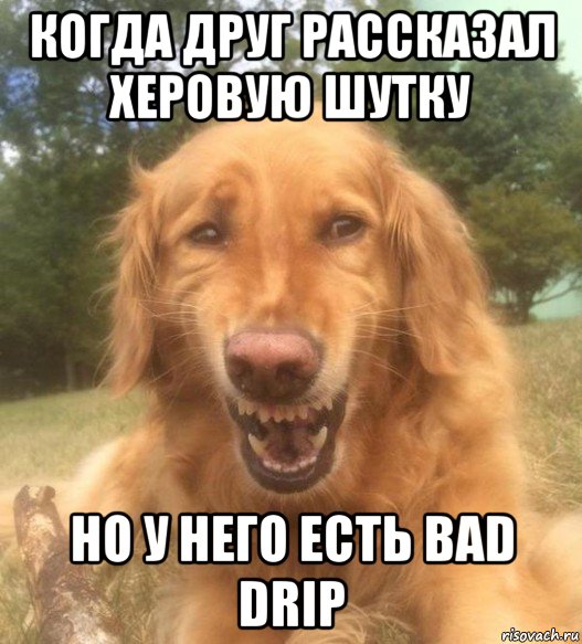 когда друг рассказал херовую шутку но у него есть bad drip, Мем   Когда увидел что соседского кота отнесли в чебуречную