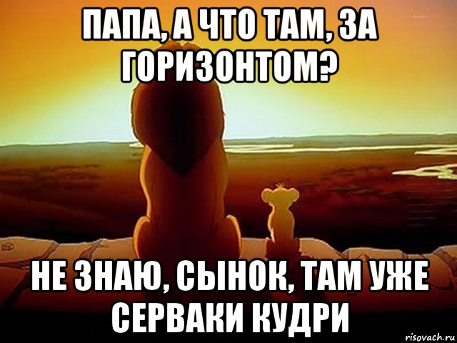 папа, а что там, за горизонтом? не знаю, сынок, там уже серваки кудри, Мем  король лев