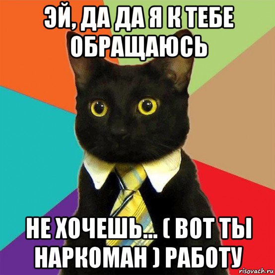 эй, да да я к тебе обращаюсь не хочешь... ( вот ты наркоман ) работу, Мем  Кошечка