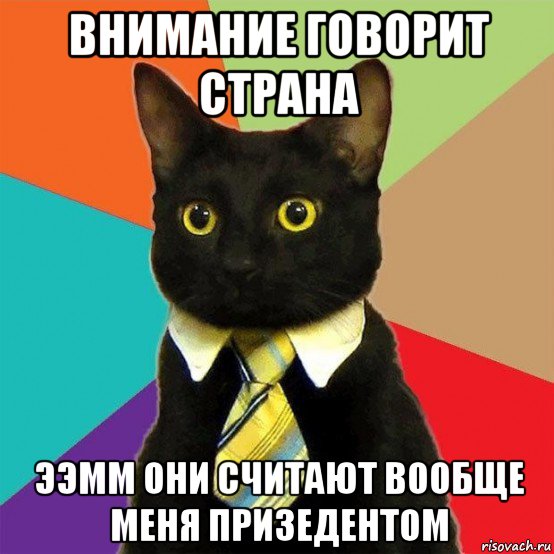 внимание говорит страна ээмм они считают вообще меня призедентом, Мем  Кошечка