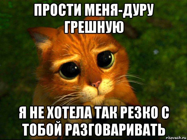 прости меня-дуру грешную я не хотела так резко с тобой разговаривать, Мем кот из шрека