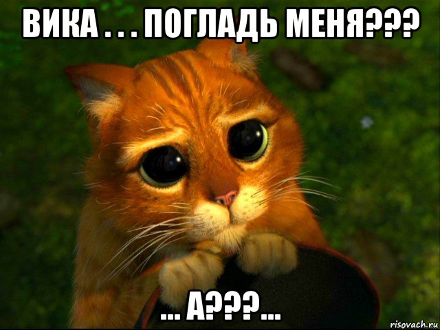 вика . . . погладь меня??? ... а???..., Мем кот из шрека