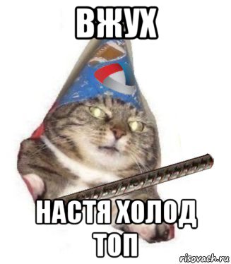 вжух настя холод топ, Мем  Кот с арматурой