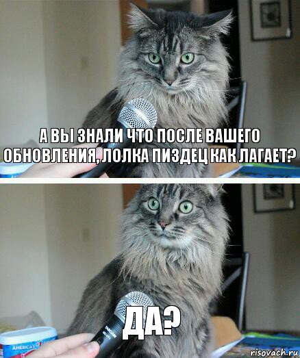 А вы знали что после вашего обновления, лолка пиздец как лагает? Да?, Комикс  кот с микрофоном