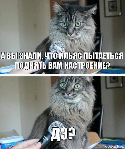 А вы знали, что Ильяс пытаеться поднять вам настроение? Дэ?, Комикс  кот с микрофоном