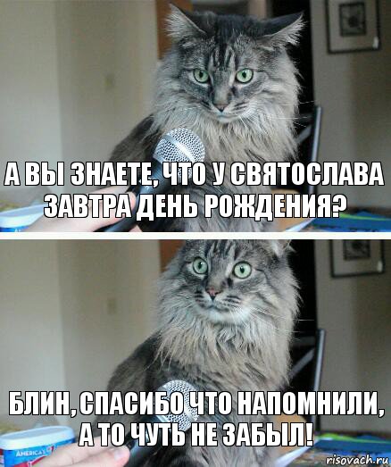 А вы знаете, что у Святослава завтра день рождения? Блин, спасибо что напомнили, а то чуть не забыл!, Комикс  кот с микрофоном