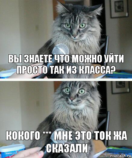 Вы знаете что можно уйти просто так из класса? Кокого *** мне это ток жа сказали, Комикс  кот с микрофоном