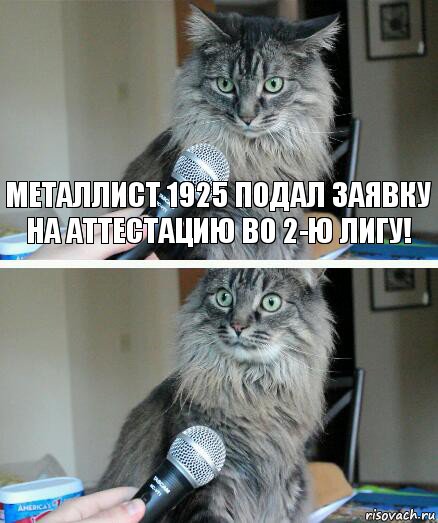 Металлист 1925 подал заявку на аттестацию во 2-ю лигу! , Комикс  кот с микрофоном