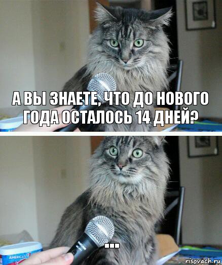 А вы знаете, что до нового года осталось 14 дней? ..., Комикс  кот с микрофоном