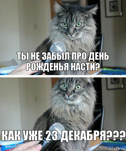 Ты не забыл про день рожденья насти? Как уже 23 декабря???, Комикс  кот с микрофоном