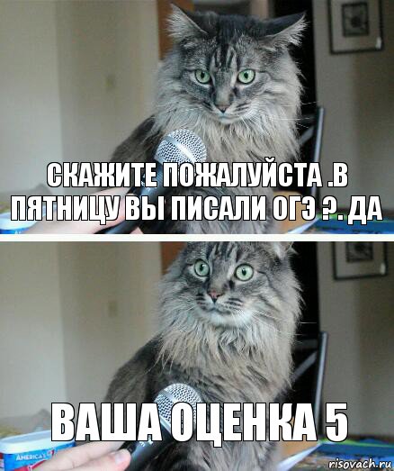 скажите пожалуйста .в пятницу вы писали ОГЭ ?. да ваша оценка 5, Комикс  кот с микрофоном