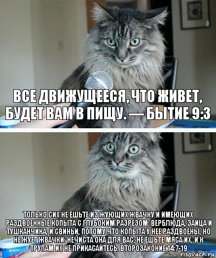 Все движущееся, что живет, будет вам в пищу. — Бытие 9:3 Только сих не ешьте из жующих жвачку и имеющих раздвоенные копыта с глубоким разрезом: верблюда, зайца и тушканчика, и свиньи, потому что копыта у нее раздвоены, но не жует жвачки: нечиста она для вас; не ешьте мяса их, и к трупам их не прикасайтесь. Второзаконие 14:7-19, Комикс  кот с микрофоном