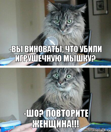 -Вы виноваты, что убили игрушечную мышку? -Шо? Повторите женщина!!!, Комикс  кот с микрофоном