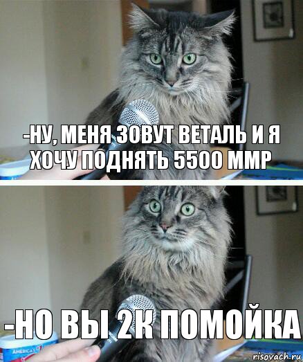 -ну, меня зовут Веталь и я хочу поднять 5500 ММР -но вы 2к помойка, Комикс  кот с микрофоном