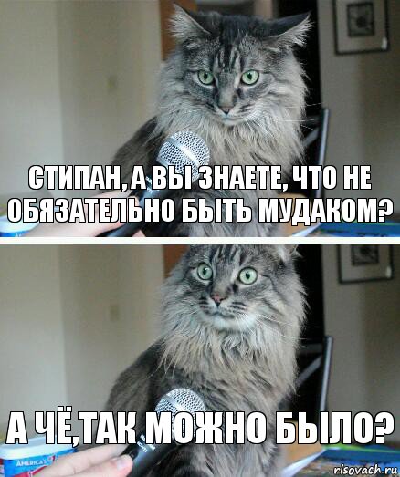 Стипан, а вы знаете, что не обязательно быть мудаком? А чё,так можно было?, Комикс  кот с микрофоном