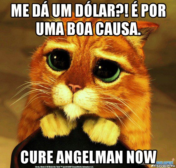 me dá um dólar?! é por uma boa causa. cure angelman now, Мем Котик из Шрека