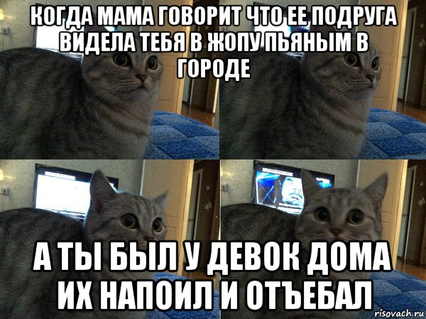 когда мама говорит что ее подруга видела тебя в жопу пьяным в городе а ты был у девок дома их напоил и отъебал, Мем  Кот в шоке