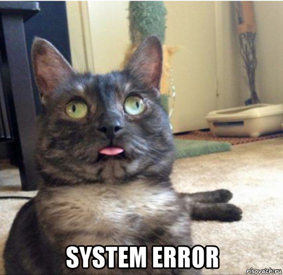  system error, Мем   Кот завис