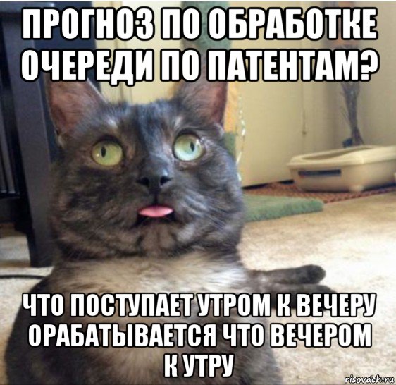 прогноз по обработке очереди по патентам? что поступает утром к вечеру орабатывается что вечером к утру, Мем   Кот завис