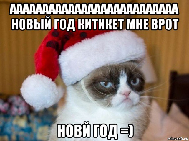 аааааааааааааааааааааааааа новый год китикет мне врот новй год =), Мем   Новогодний угрюмый кот
