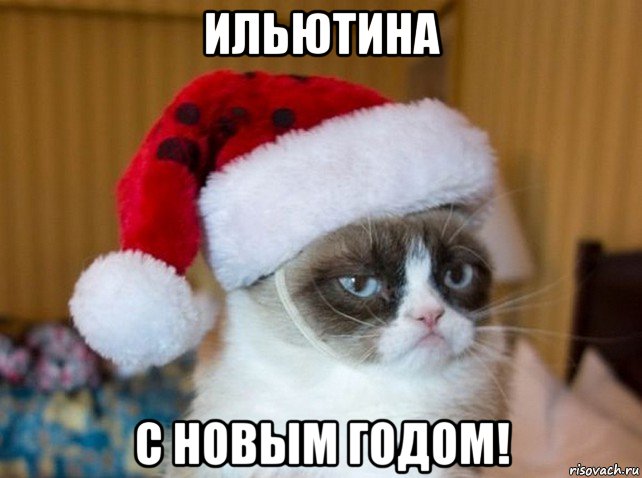 ильютина с новым годом!, Мем   Новогодний угрюмый кот