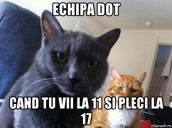 echipa dot cand tu vii la 11 si pleci la 17, Мем  Два котэ