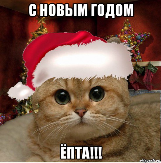 с новым годом ёпта!!!, Мем Котенька