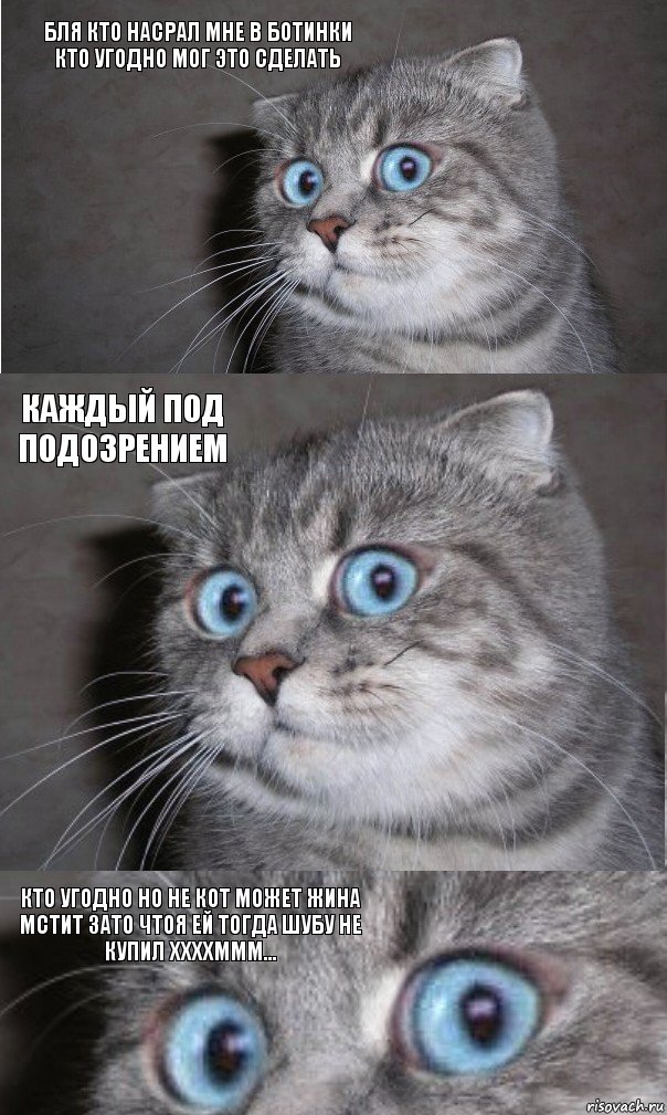 бля кто насрал мне в ботинки кто угодно мог это сделать каждый под подозрением кто угодно но не кот может жина мстит зато чтоя ей тогда шубу не купил ххххммм..., Комикс  котейка