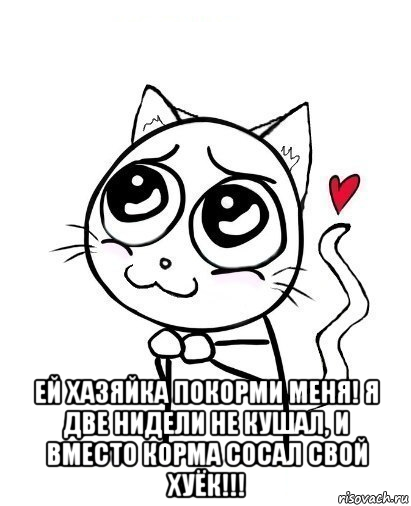  ей хазяйка покорми меня! я две нидели не кушал, и вместо корма сосал свой хуёк!!!