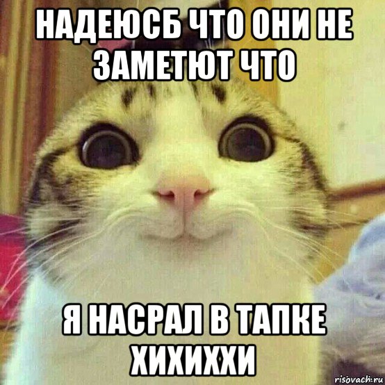 надеюсб что они не заметют что я насрал в тапке хихиххи, Мем       Котяка-улыбака