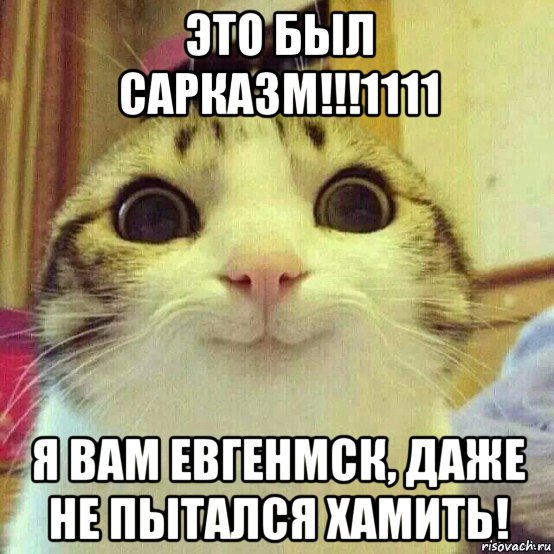 это был сарказм!!!1111 я вам евгенмск, даже не пытался хамить!, Мем       Котяка-улыбака