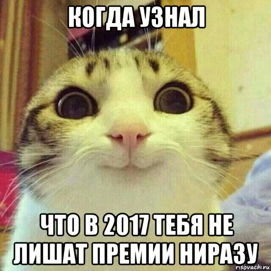 когда узнал что в 2017 тебя не лишат премии ниразу, Мем       Котяка-улыбака