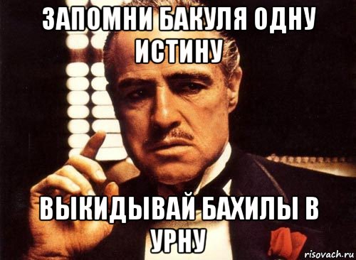 запомни бакуля одну истину выкидывай бахилы в урну, Мем крестный отец